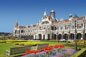 holiday in dunedin new zealand