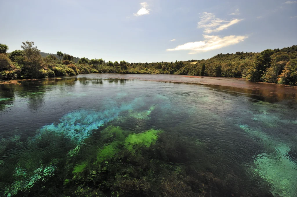 View of famous Waikoropupu Springs near Takaka, a New Zealand holiday destination, with very clear water showing bright green seaweed below