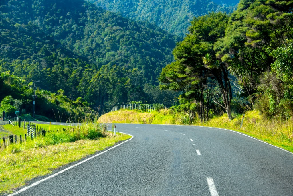 Road view of Twin Coast Discovery Highway filled with lush green forest towards various New Zealand holiday destinations