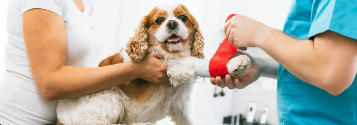 Where Can I Get An Emergency Loan In NZ? | Swoosh Finance NZ